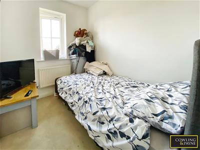 Picture 14